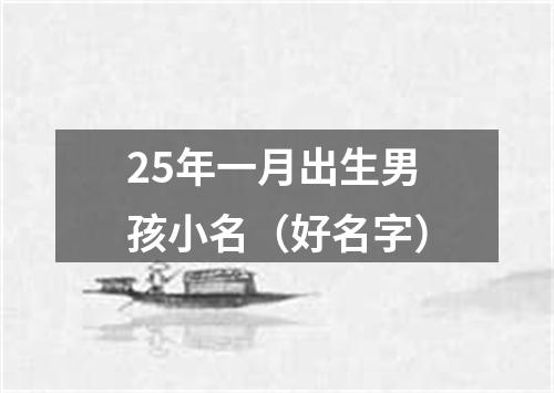 25年一月出生男孩小名（好名字）