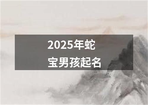 2025年蛇宝男孩起名