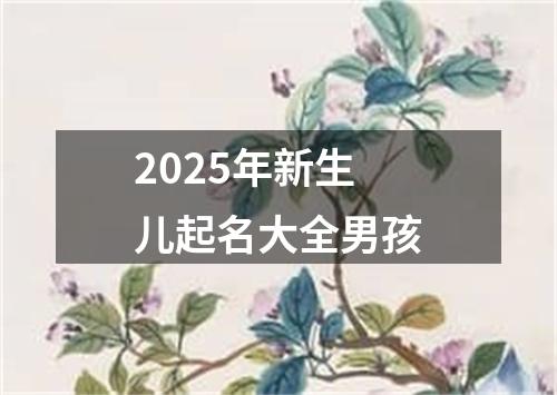 2025年新生儿起名大全男孩