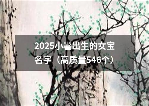 2025小暑出生的女宝名字（高质量546个）