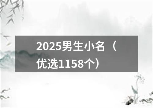 2025男生小名（优选1158个）