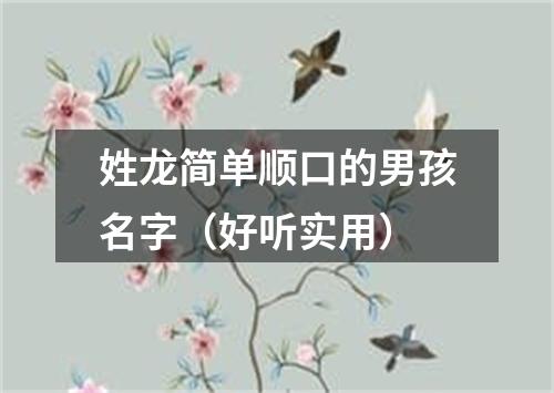 姓龙简单顺口的男孩名字（好听实用）