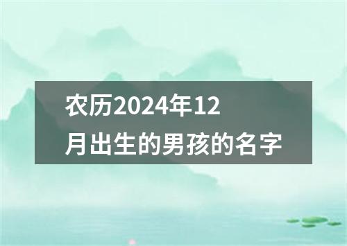 农历2024年12月出生的男孩的名字