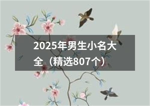 2025年男生小名大全（精选807个）