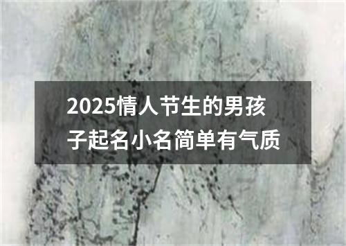 2025情人节生的男孩子起名小名简单有气质