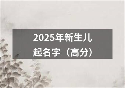 2025年新生儿起名字（高分）