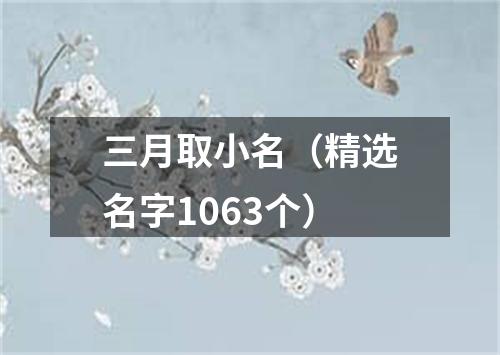 三月取小名（精选名字1063个）