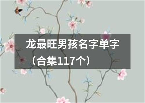 龙最旺男孩名字单字（合集117个）