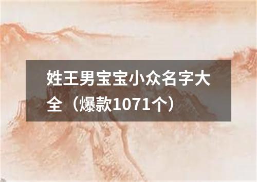 姓王男宝宝小众名字大全（爆款1071个）