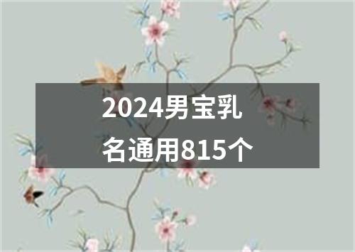 2024男宝乳名通用815个