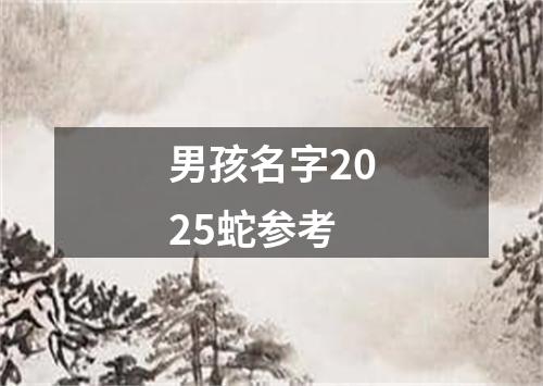 男孩名字2025蛇参考