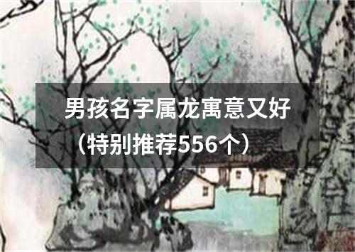 男孩名字属龙寓意又好（特别推荐556个）