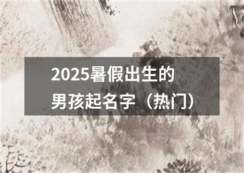 2025暑假出生的男孩起名字（热门）