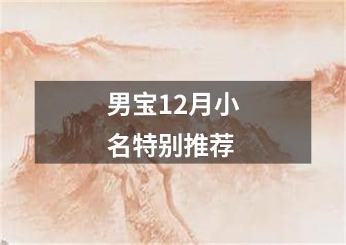 男宝12月小名特别推荐