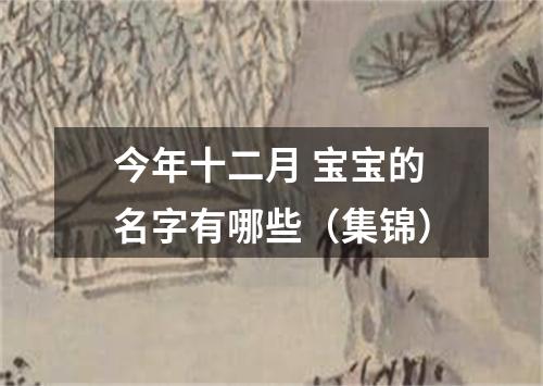 今年十二月 宝宝的名字有哪些（集锦）