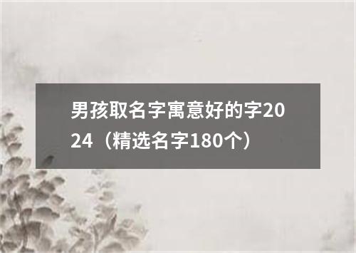 男孩取名字寓意好的字2024（精选名字180个）