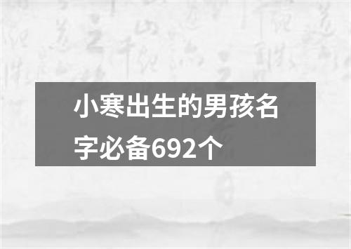 小寒出生的男孩名字必备692个