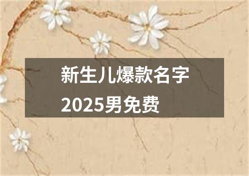 新生儿爆款名字2025男免费