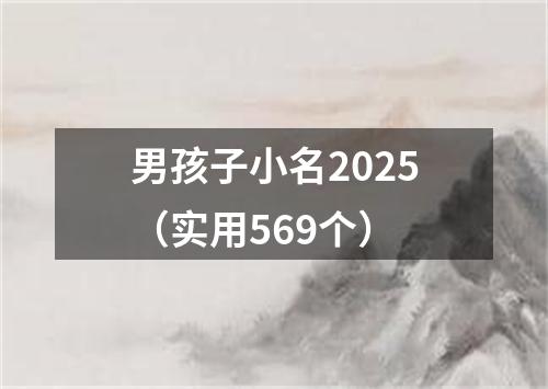 男孩子小名2025（实用569个）