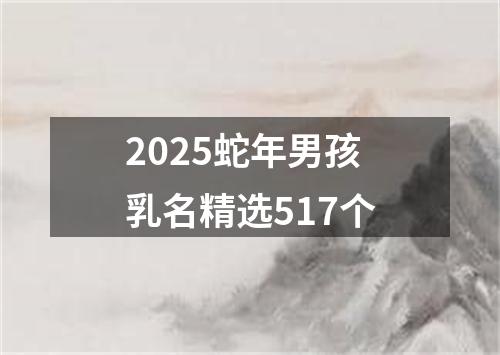 2025蛇年男孩乳名精选517个