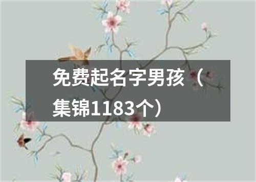 免费起名字男孩（集锦1183个）