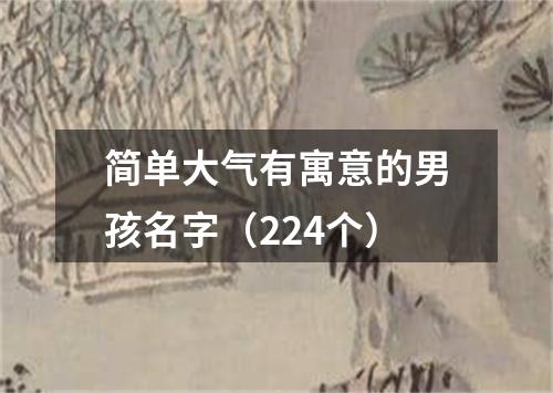 简单大气有寓意的男孩名字（224个）