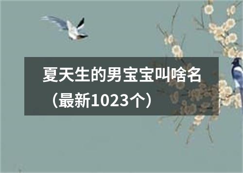 夏天生的男宝宝叫啥名（最新1023个）