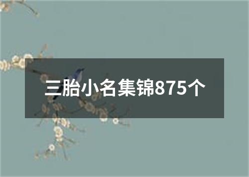 三胎小名集锦875个