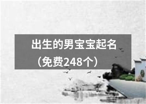 出生的男宝宝起名（免费248个）