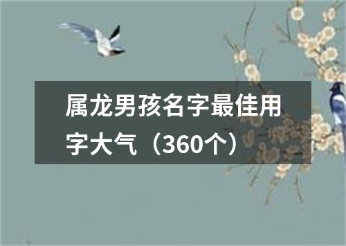 属龙男孩名字最佳用字大气（360个）