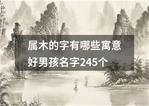 属木的字有哪些寓意好男孩名字245个