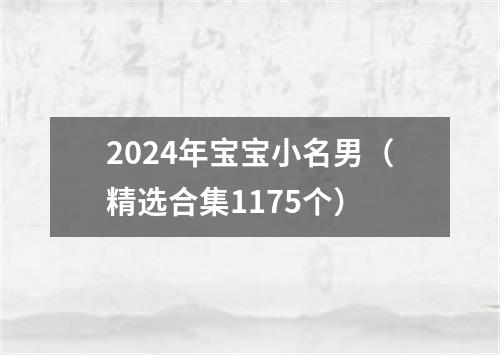 2024年宝宝小名男（精选合集1175个）