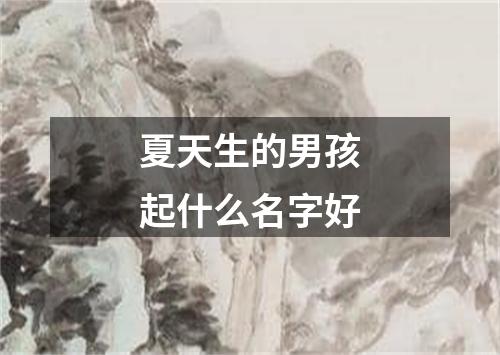 夏天生的男孩起什么名字好