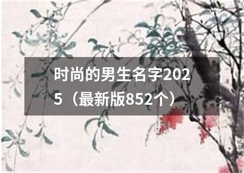 时尚的男生名字2025（最新版852个）