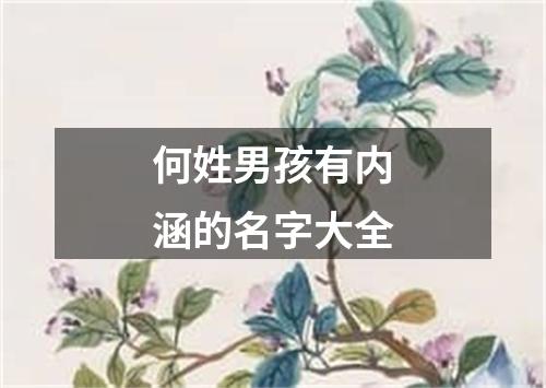 何姓男孩有内涵的名字大全