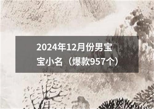 2024年12月份男宝宝小名（爆款957个）