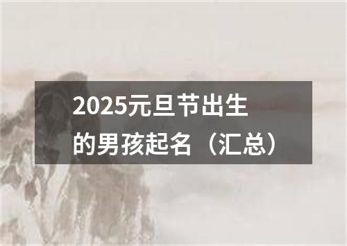 2025元旦节出生的男孩起名（汇总）