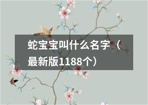 蛇宝宝叫什么名字（最新版1188个）