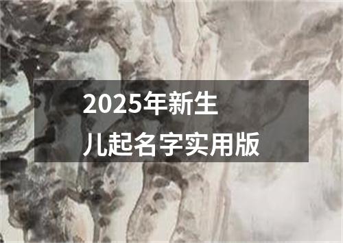 2025年新生儿起名字实用版