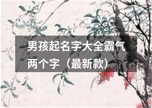 男孩起名字大全霸气两个字（最新款）