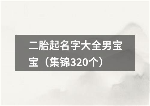 二胎起名字大全男宝宝（集锦320个）