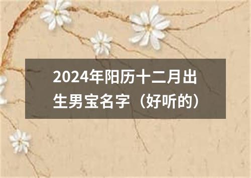 2024年阳历十二月出生男宝名字（好听的）