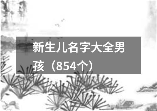 新生儿名字大全男孩（854个）