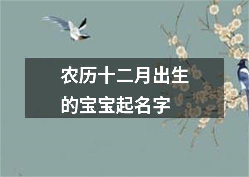 农历十二月出生的宝宝起名字