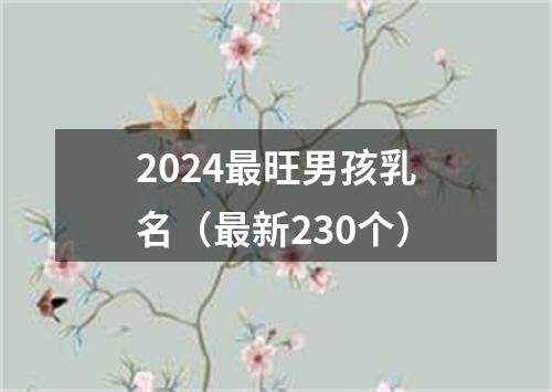 2024最旺男孩乳名（最新230个）