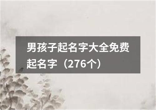 男孩子起名字大全免费起名字（276个）