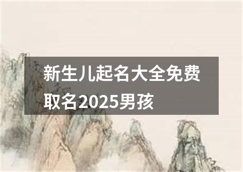 新生儿起名大全免费取名2025男孩