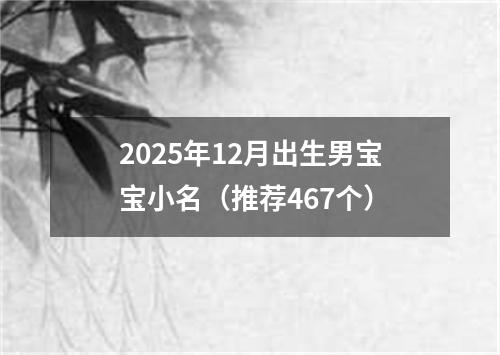 2025年12月出生男宝宝小名（推荐467个）