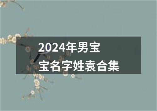 2024年男宝宝名字姓袁合集