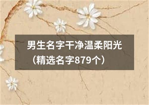 男生名字干净温柔阳光（精选名字879个）